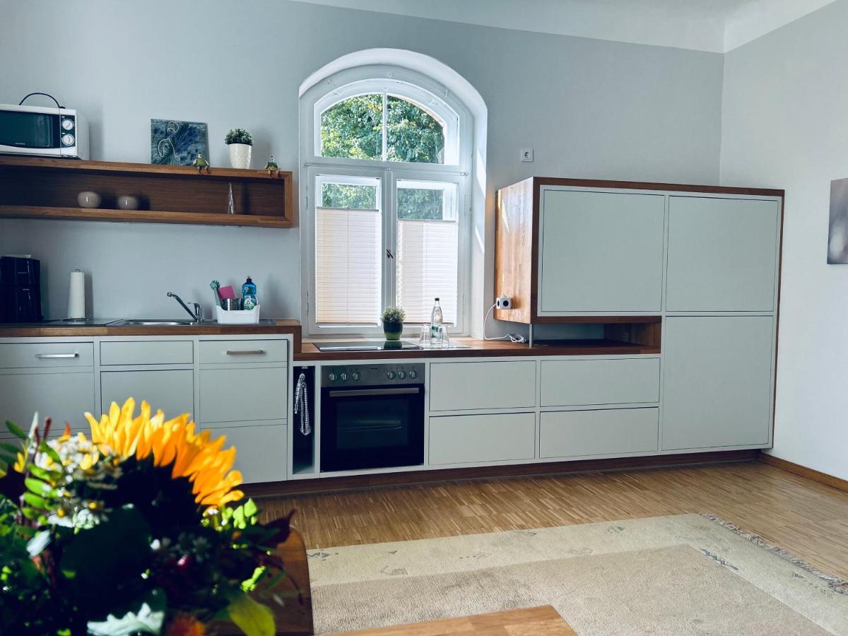 Schlosspark Apartment I 80Qm I 3 Betten I Bei Dresden Heidenau  Εξωτερικό φωτογραφία