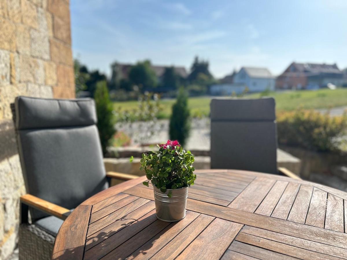 Schlosspark Apartment I 80Qm I 3 Betten I Bei Dresden Heidenau  Εξωτερικό φωτογραφία